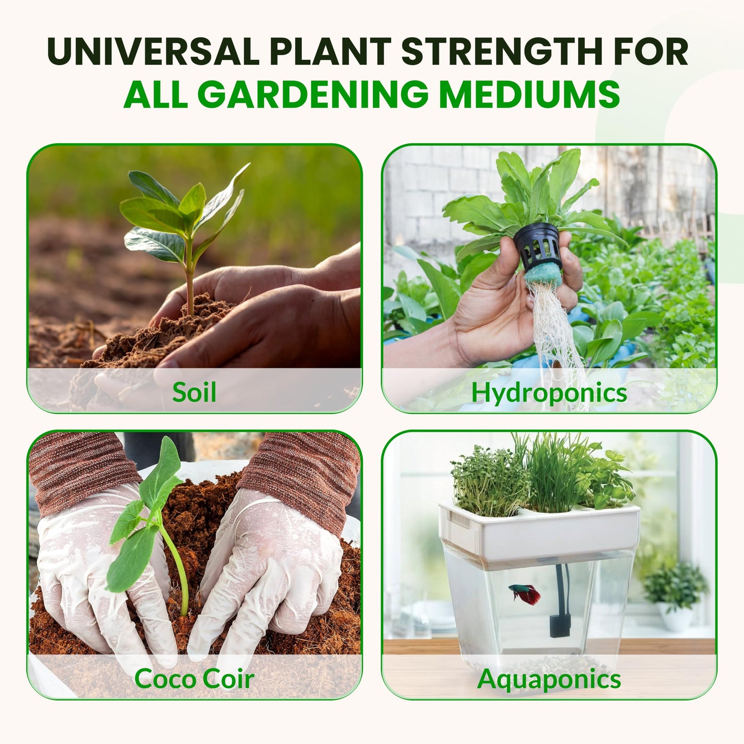 Humboldts Secret Tree Trunk | Potassium Silicate Additive | Liquid Fertilizer for Thicker Stalks, Stress Resistance & Branch Development | Indoor & Outdoor Plant Food, Hydroponic Nutrients, 32 Ounce