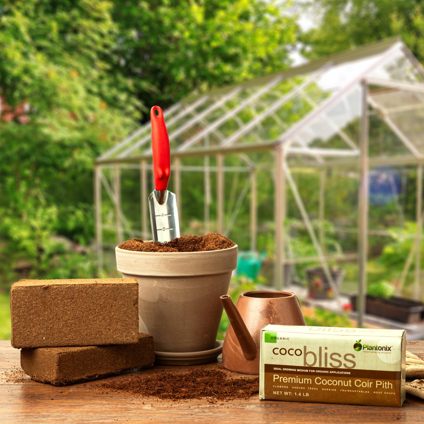 Coco Bliss 650gm Bricks (30-Pack) - Organic Coco Coir for Plants - OMRI-Listed Coco Coir for Garden Soil & Potting Mixes - Coconut Fiber Mixes with Potting Soil for Indoor Plants & Outdoor Plants