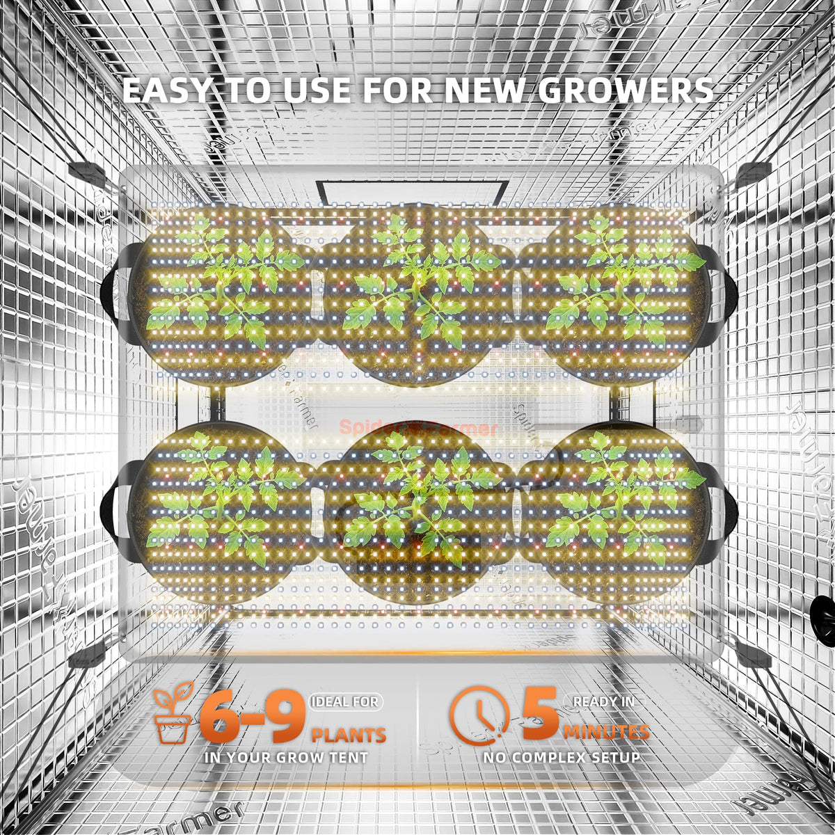 Spider Farmer SF1000 LED Grow Lights for Indoor Plants in 2x2/3x3 Grow Tent