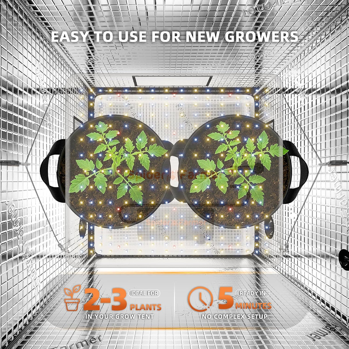 Spider Farmer SF1000 LED Grow Lights for Indoor Plants in 2x2/3x3 Grow Tent
