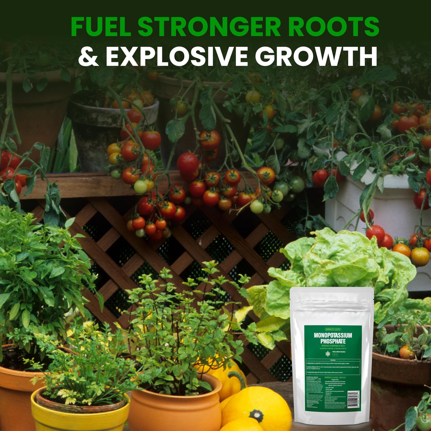 Humboldts Secret Monopotassium Phosphate 0-52-34 | MKP Fertilizer Bloom Booster for Flowers, Fruits & Vegetables | High Purity Water Soluble Phosphorus and Potassium Plant Food | 2 lb