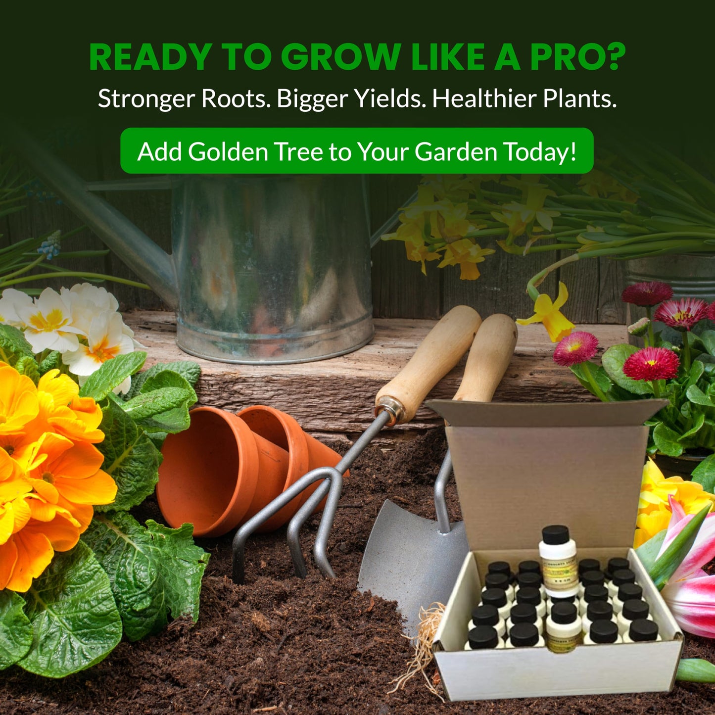 Humboldts Secret Golden Tree Liquid Plant Food | Enhances Growth Indoors or Outdoors | All-in-One Plant Nutrients for Vegetables, Trees, Flowers, Fruits, Roses, Lawns, Tomatoes | 16 Ounce