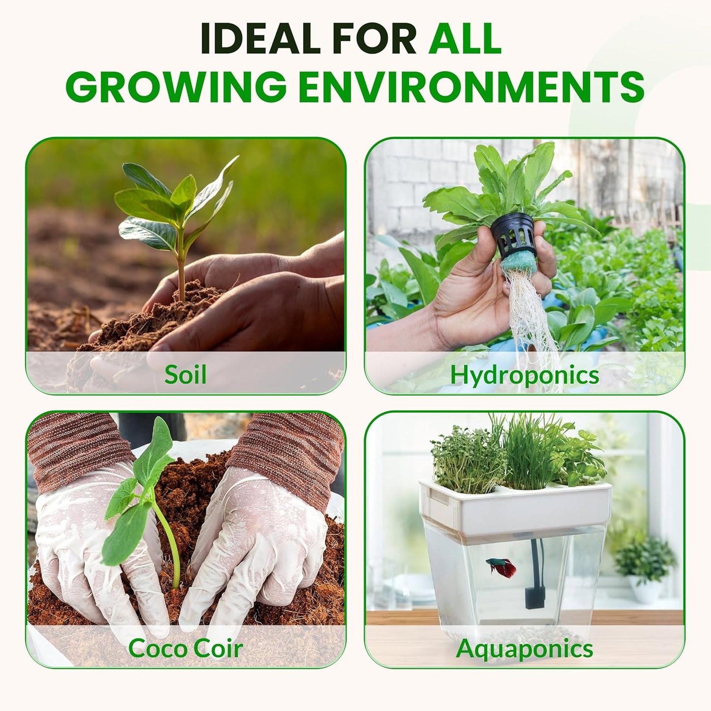 Humboldts Secret Soluble Kelp Extract Powder | 0-0-16 Water Seaweed Fertilizer | Concentrated Nutrients & Minerals for Lawn, Garden, Vegetables, Houseplants, Succulents & Hydroponics | 2 lb Bag