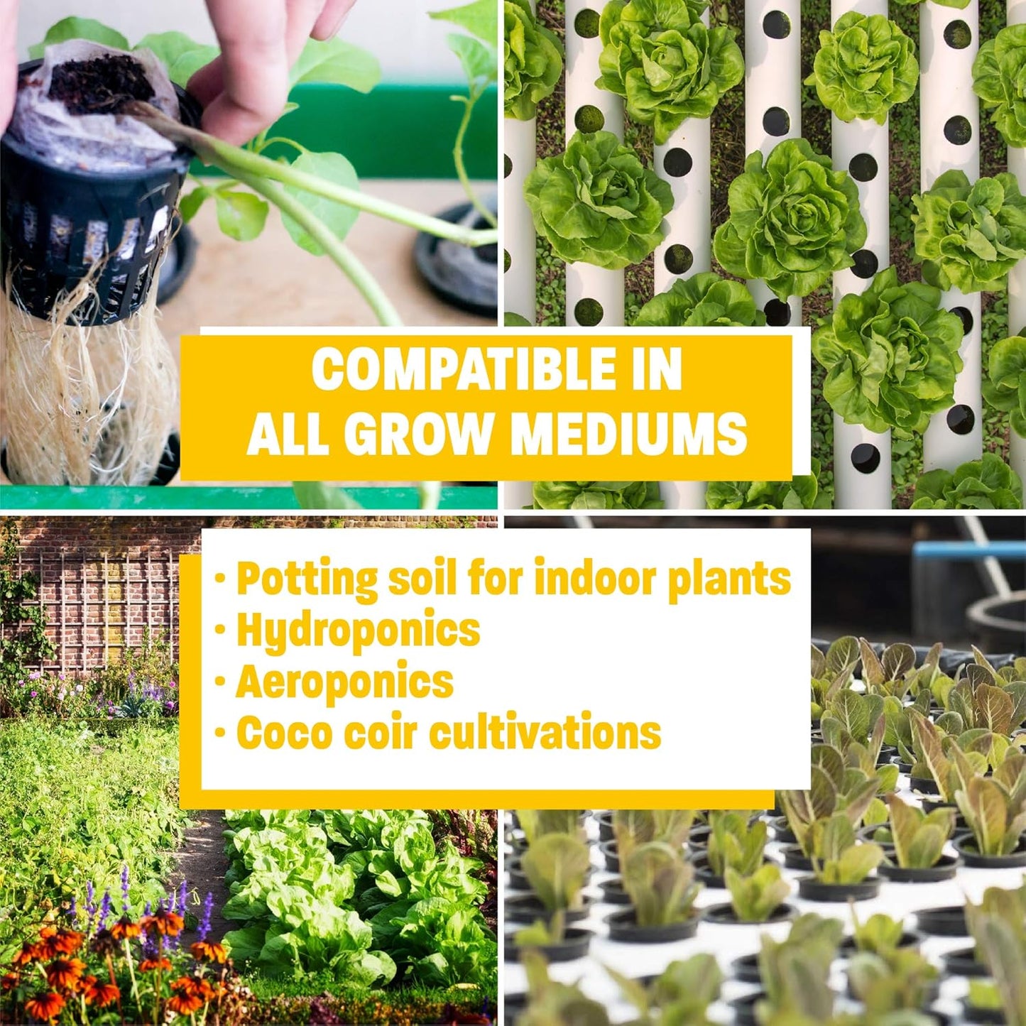 Humboldts Secret Golden Tree - All-in-One Concentrated Additive - Vegetables, Flowers, Fruits, & More (16oz) w/Grow Room Glasses | Interchangeable Magnetic Sunglasses with UVA/UVB Blocking Protection