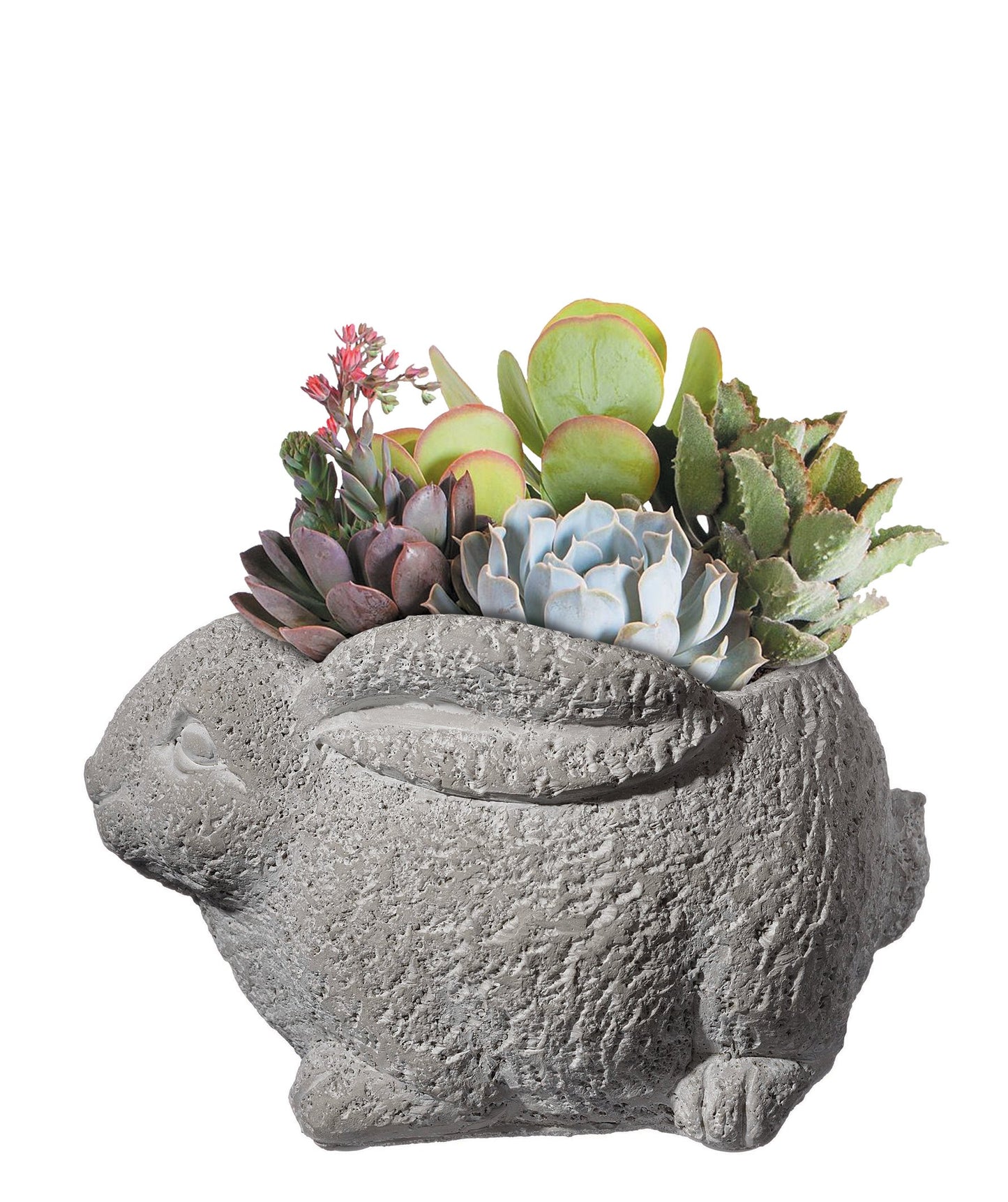 Classic Home and Garden Cement Buddies Animal Planter - Cute Desk Decoration - UV Coated Animal Vase w/Removable Drain Plug - Succulent Planter for Indoor/Outdoor Use (Bird Planter, Rust, Large)