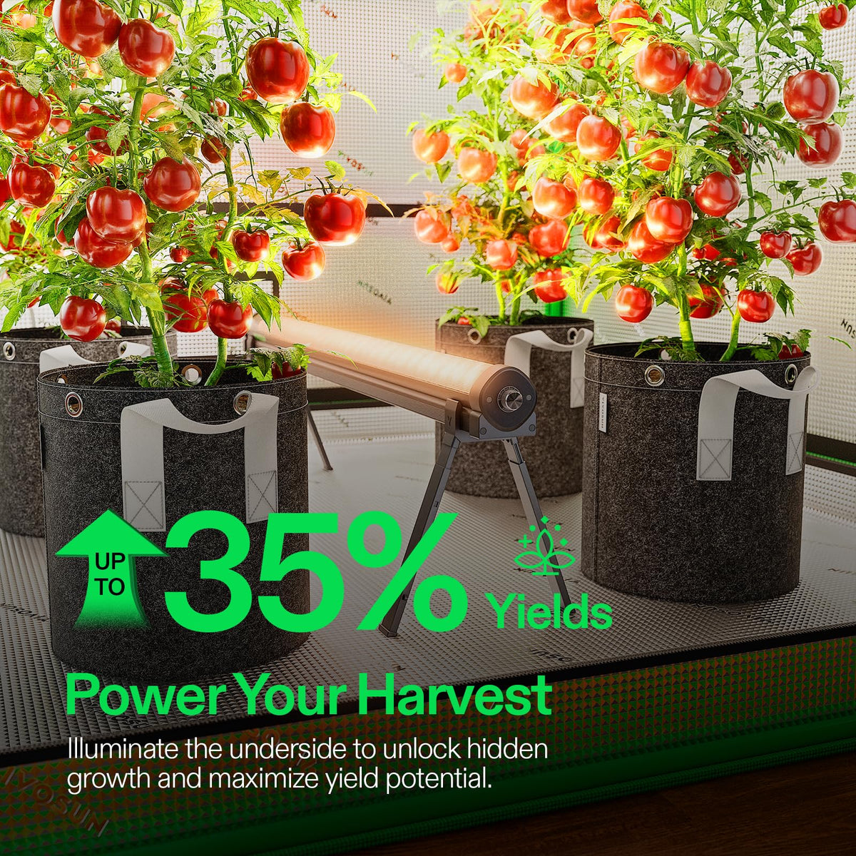 VIVOSUN LumaRay Under Canopy Grow Lights, Pack Options
