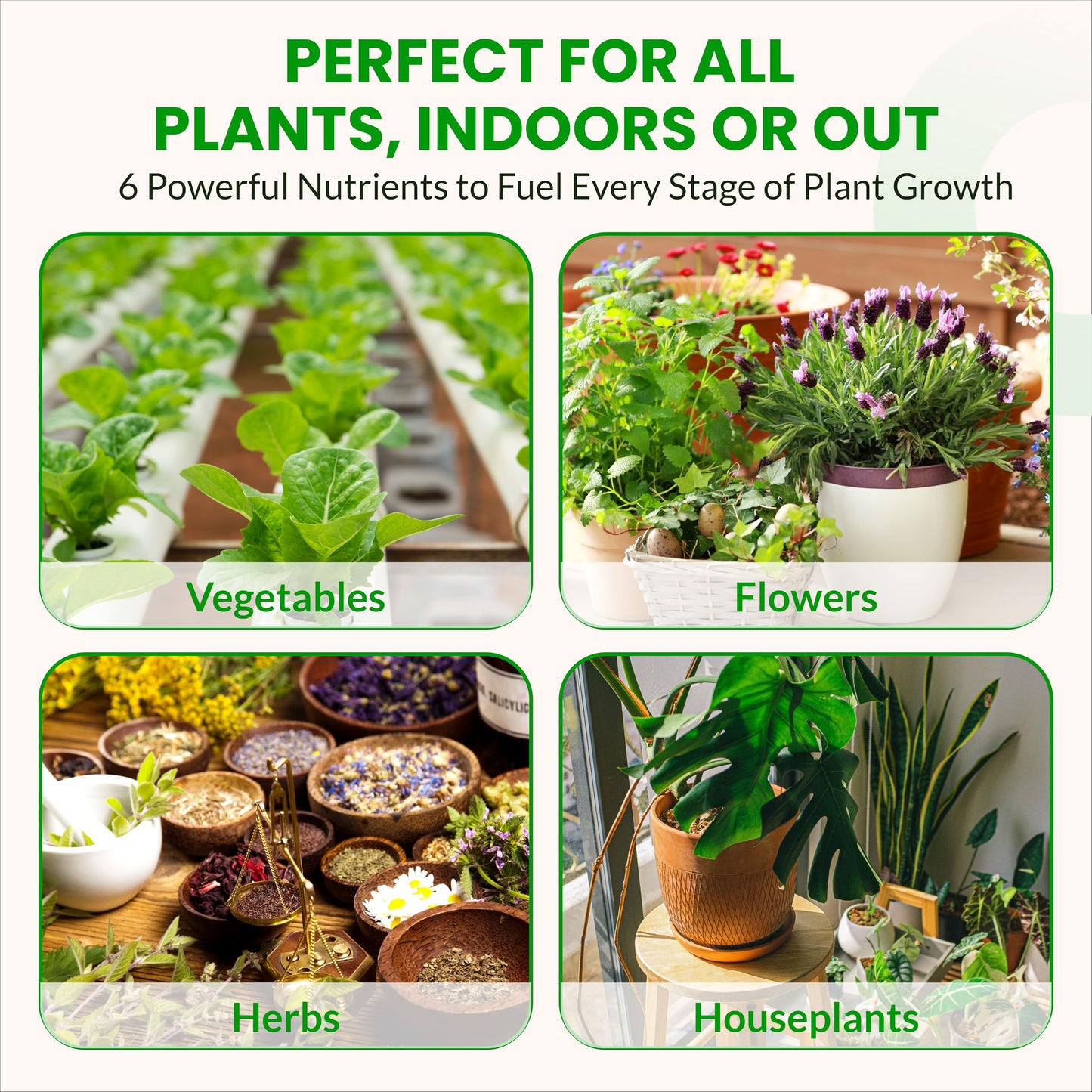Humboldts Secret Starter Kit Pack | Indoor and Outdoor Plant Fertilizer and Hydroponic Nutrients | Base A & B, CalMag and Iron, Golden Tree, Flower Stacker, Plant Enzymes | Complete Garden System