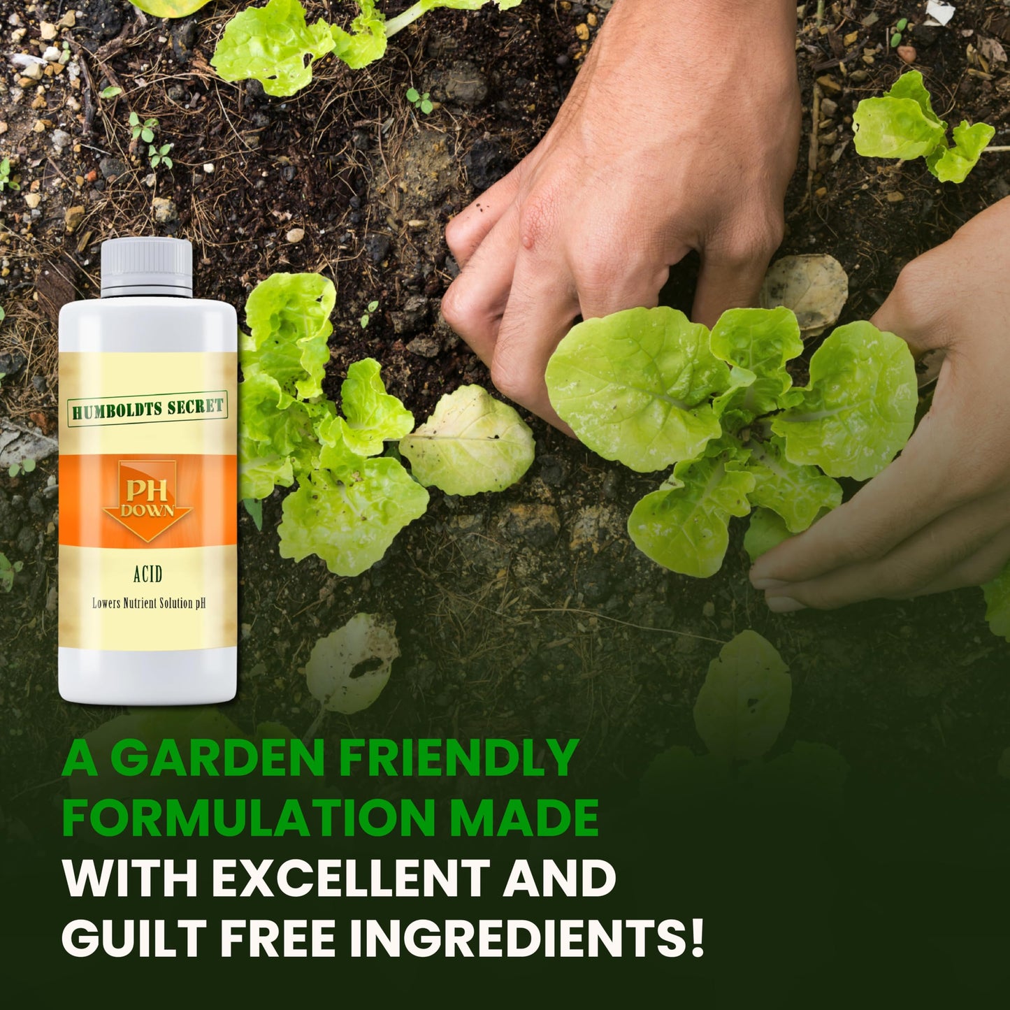 Humboldts Secret pH Down for Plants | Liquid pH Adjuster and Balancer for Soil Coco Hydroponics | Concentrated Phosphoric Acid Solution Supporting Nutrient Uptake and Strong Growth | 32 Ounce