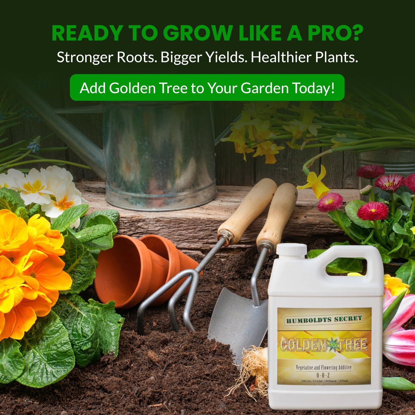 Humboldts Secret Golden Tree Liquid Plant Food | Enhances Growth Indoors or Outdoors | All-in-One Plant Nutrients for Vegetables, Trees, Flowers, Fruits, Roses, Lawns, Tomatoes | 16 Ounce