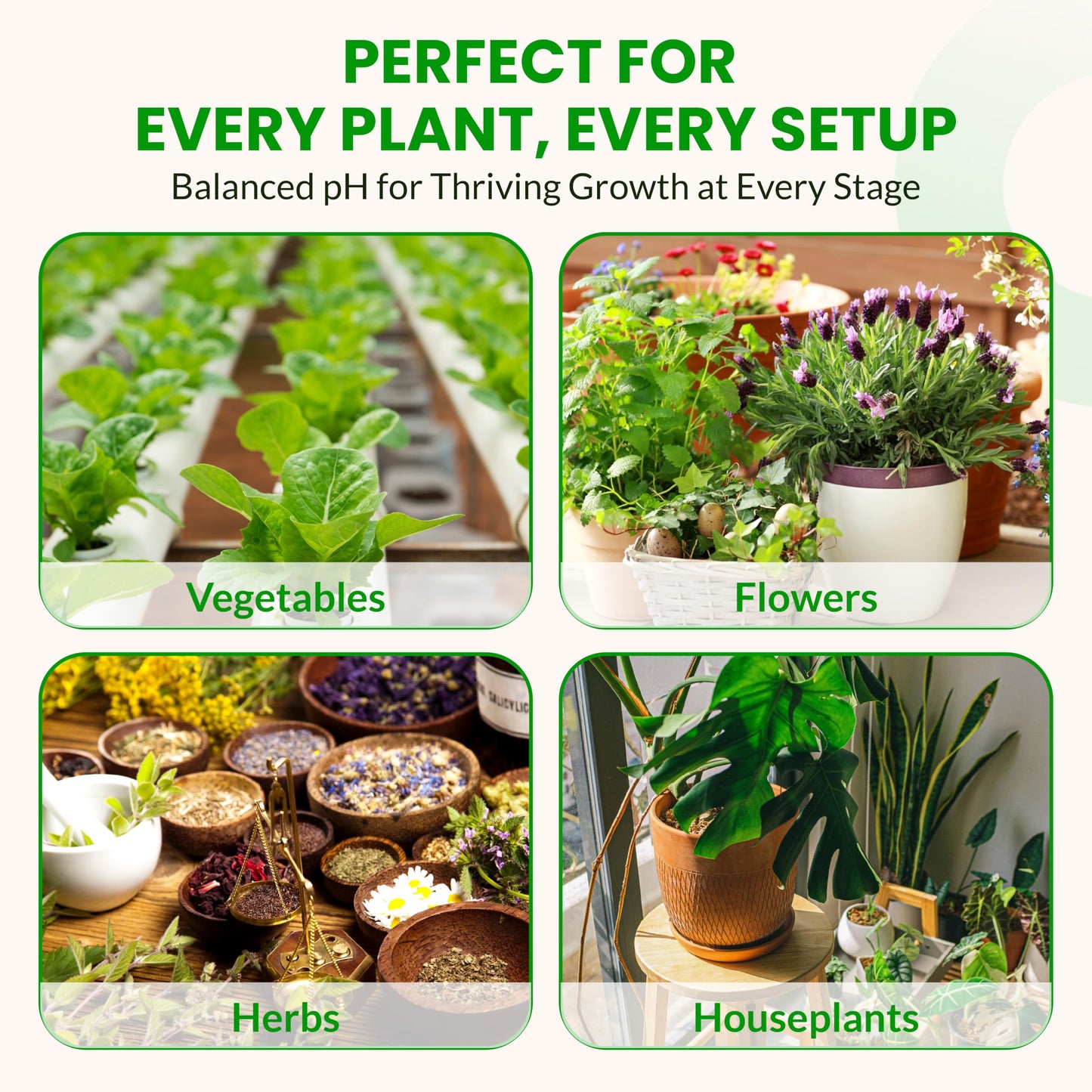 Humboldts Secret pH Down for Plants | Liquid pH Adjuster and Balancer for Soil Coco Hydroponics | Concentrated Phosphoric Acid Solution Supporting Nutrient Uptake and Strong Growth | 32 Ounce