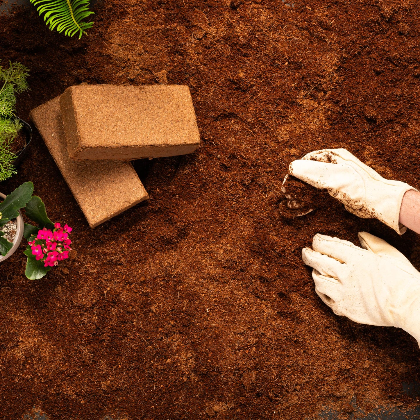 Coco Bliss 650gm Bricks (30-Pack) - Organic Coco Coir for Plants - OMRI-Listed Coco Coir for Garden Soil & Potting Mixes - Coconut Fiber Mixes with Potting Soil for Indoor Plants & Outdoor Plants
