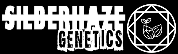 Silberhaze Genetics Official Store